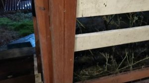 СОЧИ ГОРНОЕ ЛОО УТРО 16.01.2026