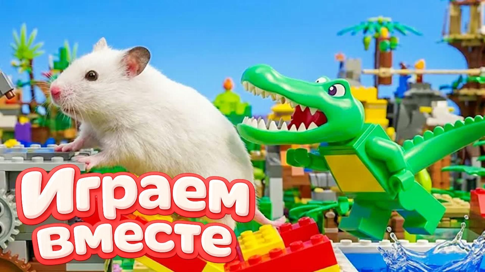 Хомяк попал в ОГРОМНЫЙ ЛАБИРИНТ для домашних животных ! Выбираемся из лабиринта вместе 🐹ЧАСТЬ 4 смотреть онлайн