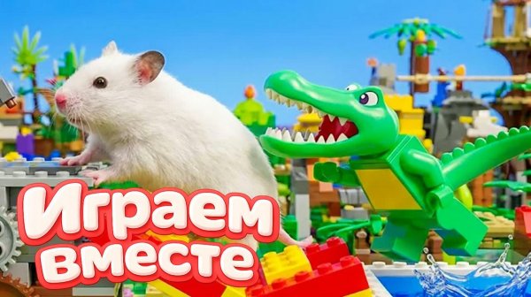 Хомяк попал в ОГРОМНЫЙ ЛАБИРИНТ для домашних животных ! Выбираемся из лабиринта вместе  🐹ЧАСТЬ 4