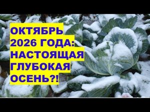 Октябрь 2026: Ну Очень Некомфортная Погода! Настоящая Глубокая Осень