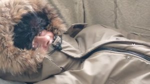 ЗАШЛА И ГОВОРЮ . ЖИЗНЬ НА СОГРЕ .