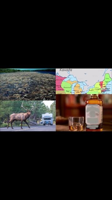 ДЖОН СТЕЙНБЕК - "ПУТ с Ч в поисках АМ "5 смотреть онлайн