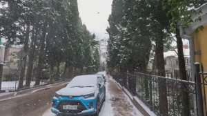 ЗИМА В ЯЛТЕ ПРОДОЛЖАЕТСЯ .БАРАШКИ,ВОЛНЫ НА МОРЕ.СОБАКИ СКРЮЧИЛИСЬ. ПОГОДА 17 ЯНВАРЯ. КРЫМ СЕЙЧАС.