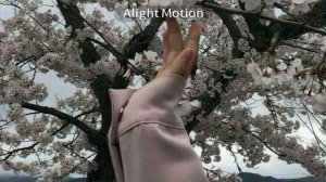 🐇🌺танцуй, если знаешь этот тренд 2026 года. “"  без мата "“🌺🐇