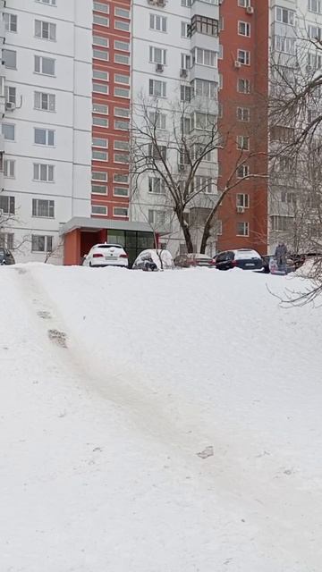 прогулка с Луной и Ваней