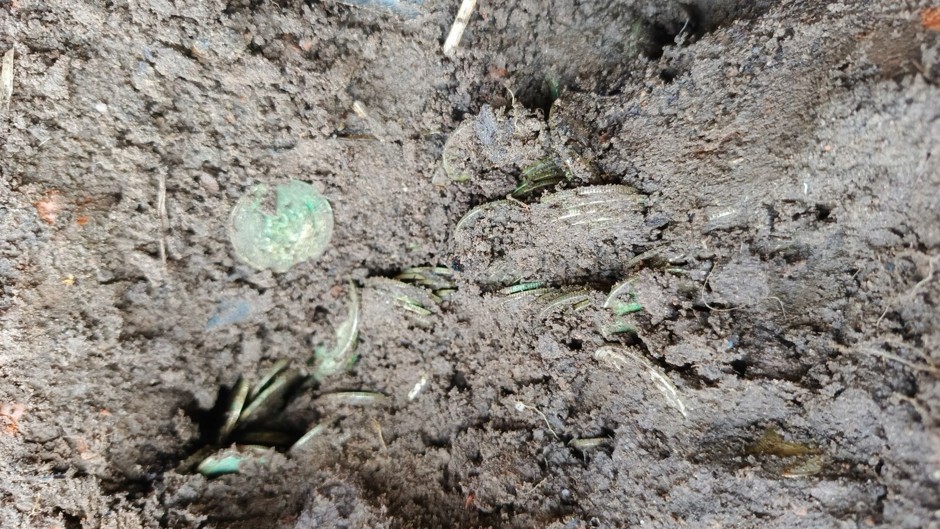 клад серебреных монет смотреть онлайн