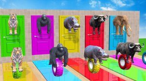 Веселые игры с слоном, гориллой, бегемотом, тигром - 3D игра с животными - Забавные 3D животные