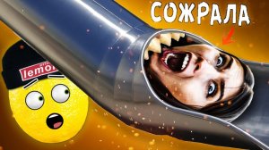 ГОРКА СЪЕЛА АЛОЯ ВЕРА? ПОПЫТ и СИРЕНОГОЛОВЫЙ и 100 слоев фольги