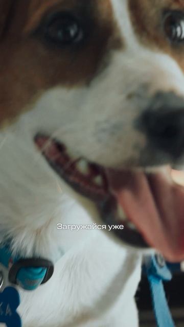 Знает все секреты друга 😉 смотреть онлайн