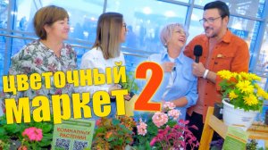 Что купили и чему удивлялись с сеструлей на цветочном маркете?