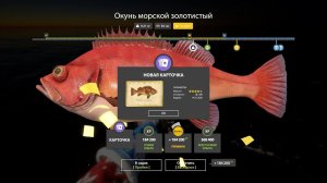 РЕКОРДНЫЕ ФАРМЫ СЕРЕБРА НА МЕДНОМ И ЯМЕ, РАЗДАЧИ ТРОФОВ НА СУРЕ, МОРЕ АХТУБЕ В РУССКОЙ РЫБАЛКЕ 4 РР4