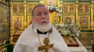 Преп. Серафим Саровский.
Аскетика, основанная на любви. Прот. Андрей Овчинников.