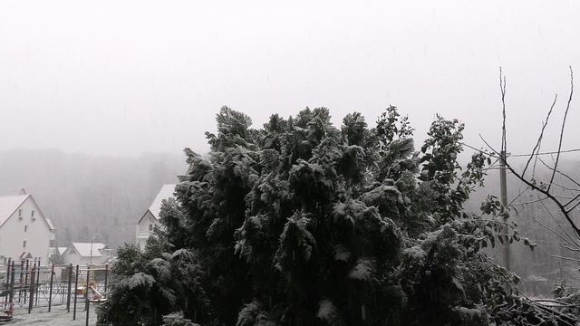 Про снег ❄️ в ⛄️ Сочи смотреть онлайн