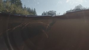 УЛОВЫ ДАЛЬНИХ ГОРНЫХ РЕК ЯКУТИИ ВСЕГДА РАДУЮТ