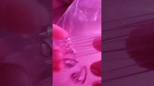 Ирина Осокина. Распаковка подарка на Новый Год