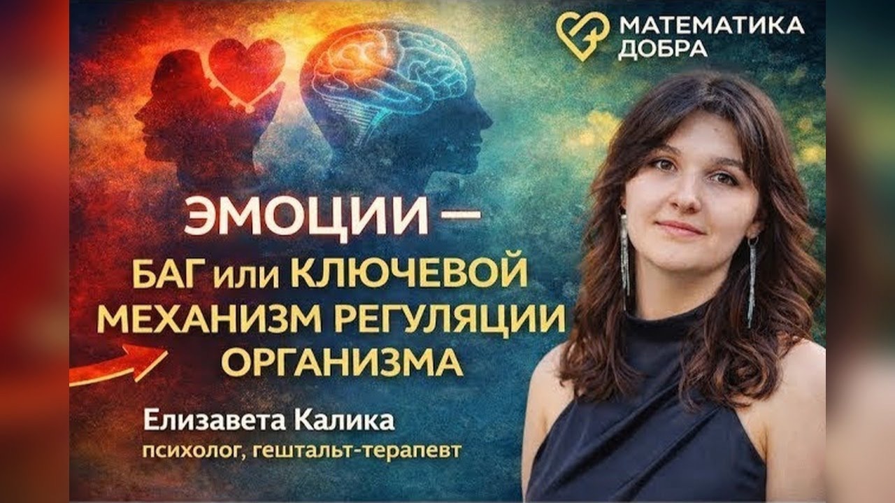 Эмоции - баг или ключевой механизм регуляции организма. Елизавета Калика. смотреть онлайн