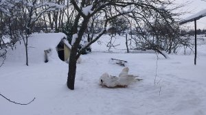 Зима настоящая, морозная. Жизнь простая, пенсионерская.