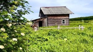 Восстанавливаем заброшенную избу у таежной речки. Наловил монстров. История дома. Часть 1.