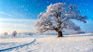 ❄️ ЗИМНЯЯ УСПОКАИВАЮЩАЯ МУЗЫКА ДЛЯ СНА 🎵 РАССЛАБЛЯЮЩАЯ МУЗЫКА ДЛЯ ДУШИ 🎵 МУЗЫКА ДЛЯ МЕДИТАЦИИ