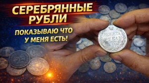 ЗМЕЯ В ОГОРОДЕ, КОЛЛЕКЦИЯ РУБЛЕЙ, СДАЛИ МЕТАЛ.