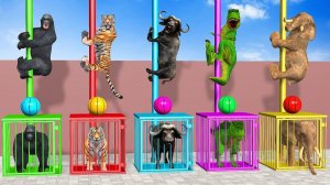 Веселые игры с слоном, гориллой, бегемотом, тигром - 3D игра с животными - Забавные 3D животные