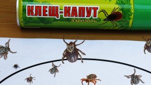 Клещ-Капут - проверка средства от клещей | Тест аэрозоля