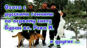 Охота с русской гончей по первому снегу Буран вл. Рева М. и другие ... #охотасгончей #топ #hunting