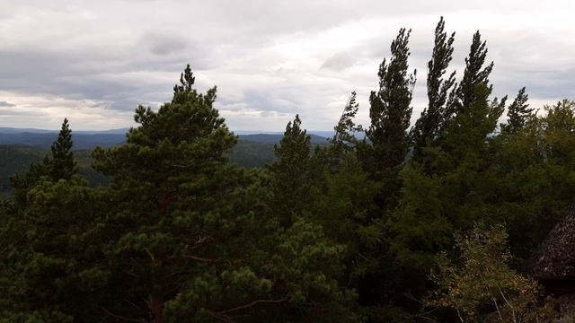 Вид на столбы смотреть онлайн