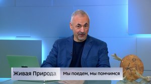 Живая природа. "Мы поедем, мы помчимся…"