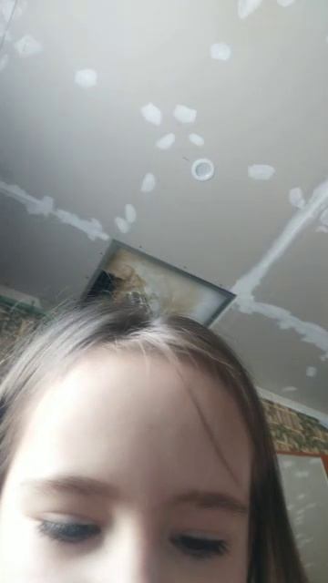 мур мур