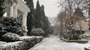 Ежедневная «вебкамера» Ялты. 17 января, 2026г. Время: 13:00