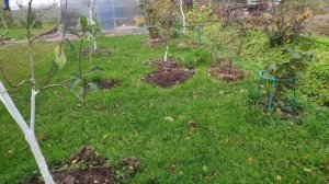 72- моя Дача мой Огород(16.10-17.10.21)