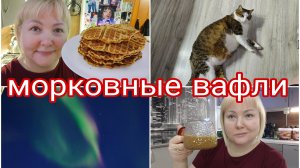 16-01-2026 Морковно-творожные вафли * Про КБЖУ видосам БЫТЬ