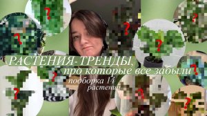 Растения ТРЕНДЫ, про которые все забыли || 14 растений, о которых мы вспоминаем реже