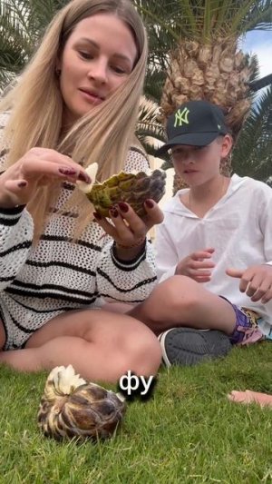 съедобное 💩