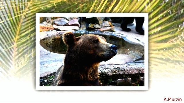 2Illusions - Time to Relax смотреть онлайн