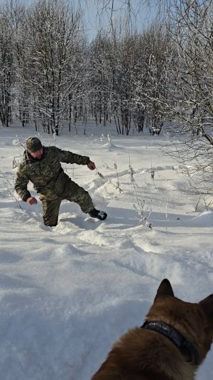 Пинать берёзы - древняя русская традиция. Что только ради фоточки в ленту не сделаешь!