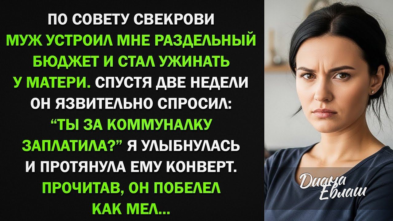 Муж устроил мне раздельный бюджет, но уже через 2 недели сильно пожалел об этом смотреть онлайн