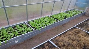 77-Дача. готовимся к зиме..1 часть(20.11.21)