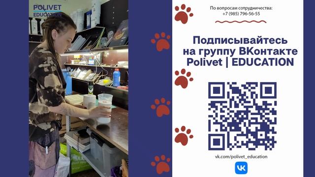 Поливет смотреть онлайн