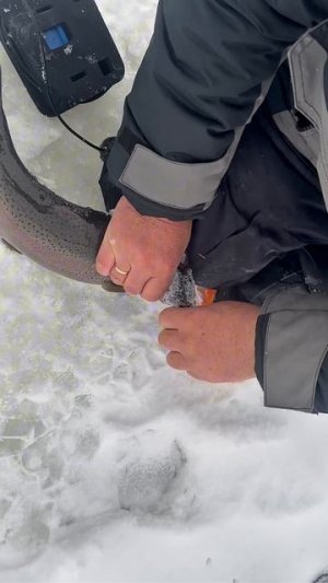 copy_C4F963F6-3BA3-47EA-BD1F-212FCA4E2F82