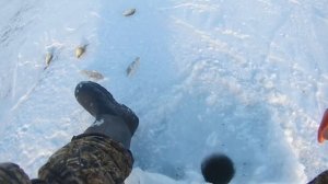 За окунем на озеро Песчаное. Зимняя рыбалка 2026.