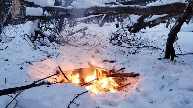 костер смотреть онлайн