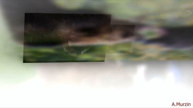 2Illusions - Why Words смотреть онлайн