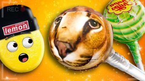 НЕ ЕШЬ СЛАДКИХ ШЛЁП В РОБЛОКС! НУБАСТЕР