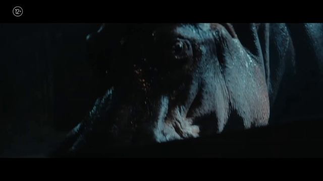 трейлер красавица 2026 смотреть онлайн