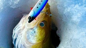 ВЕСЬ ДЕНЬ ИСКАЛИ СУДАКА! А ПОД ВЕЧЕР БЫЛ ХАПОК! РЫБАЛКА НА ВОДОХРАНИЛИЩЕ 2026