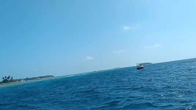 Едем на сноркелинг возле Донфану, Мальдивы, январь'26 (Coming For Snorkeling Near Dhonfanu, Maldives