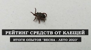 Рейтинг средств от клещей по результатам опытов Весна - Лето 2023