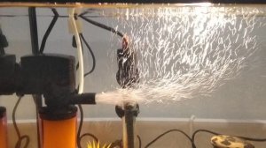 Вот они! 🦈🐟🐠🐡🐳🐬🐋🦭👍🏻